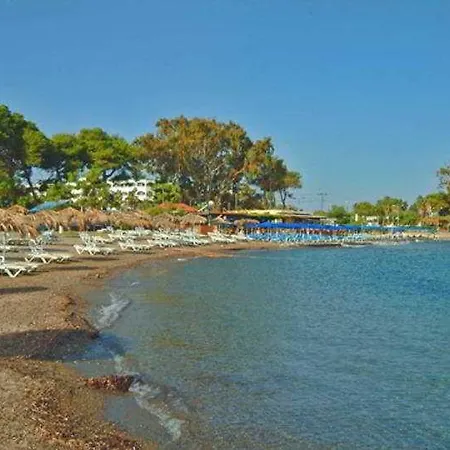 Hotel Palm (adults Only) 2*