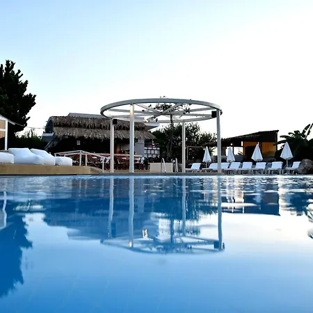 Palm (adults Only) 2*
