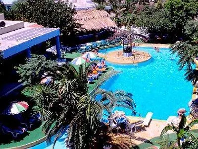 Palm (adults Only) 2*