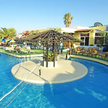 Palm (adults Only) 2*