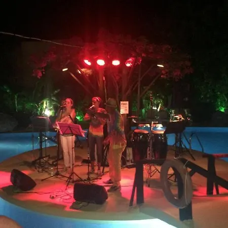 Palm (adults Only) 2*